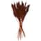 Dried Plant Bamboo Natural Foliage with Long Stems